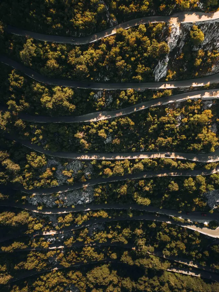 Llogara Pass Road Bomen