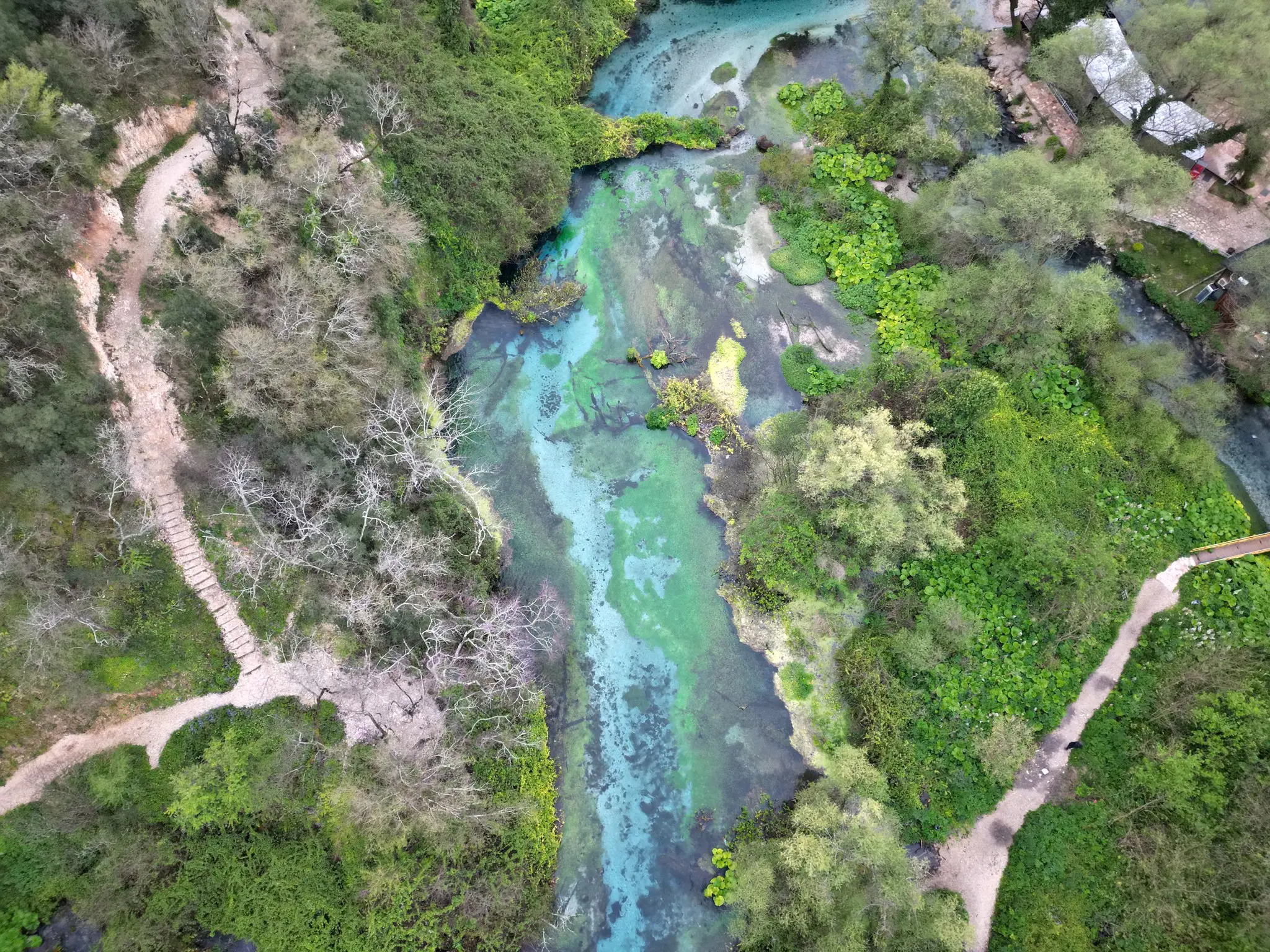 drone view of Blue Eye spring with turquoise water and green foliage