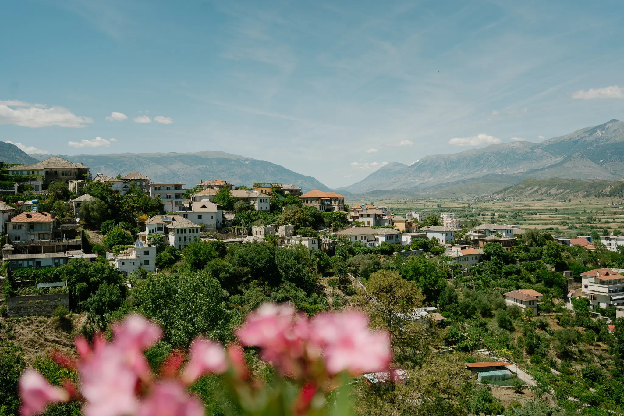 hillside village with mountains and pink flowers