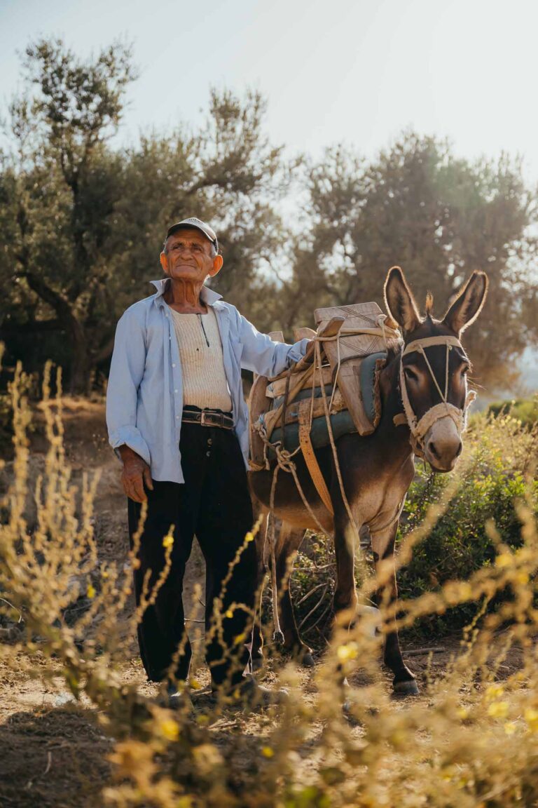 Rondreis Albanië: in 7 dagen langs de mooiste plekken van Albanië